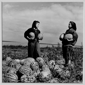 Image description is not available for 2000.009